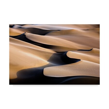Trademark Fine Art Mohammadreza Momeni 'Music Dunes' Canvas Art, 16x24 1X06489-C1624GG